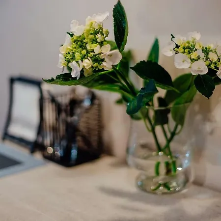 Cozy Blue House In Heart Of Old Town Banská Štiavnica